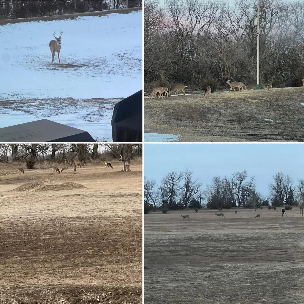 3476 SW 90th Street Augusta KS 67010
