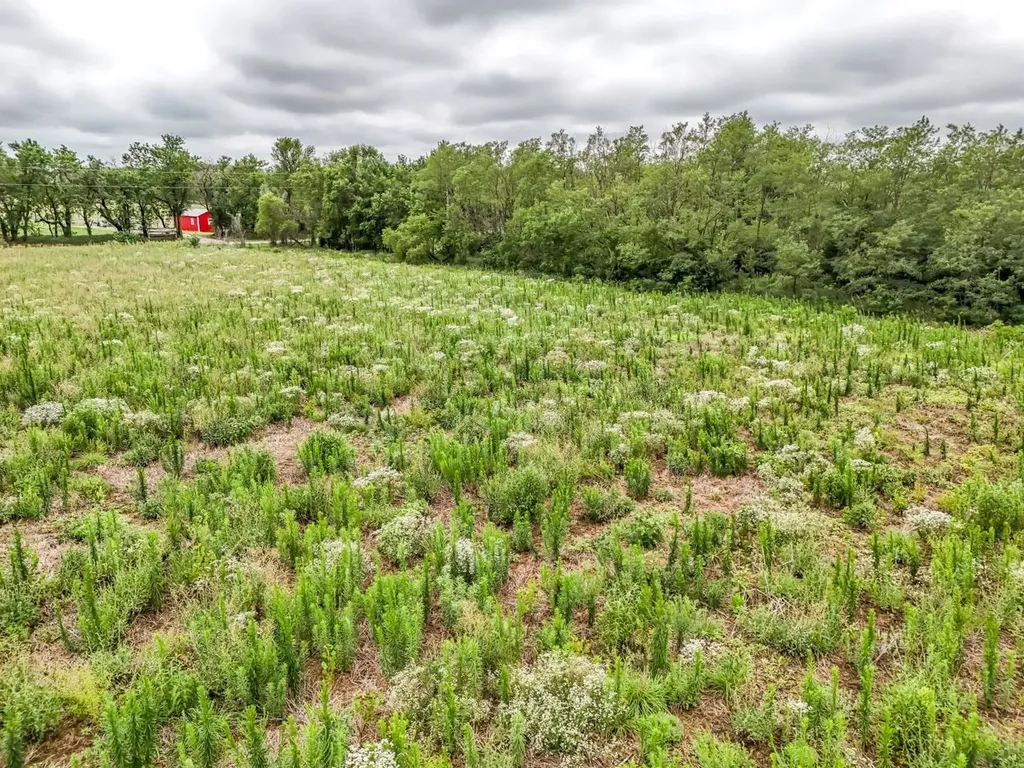 0000 S 103rd Street West Clearwater KS 67026