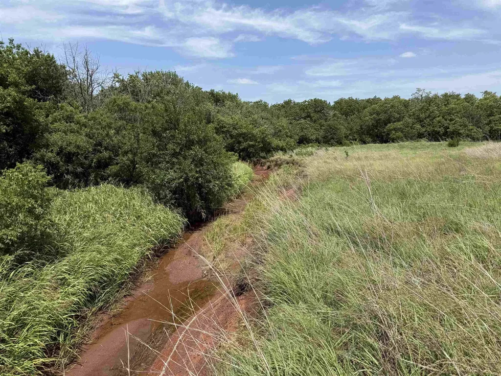 S Argonia Road & W 100th Street Caldwell KS 67022