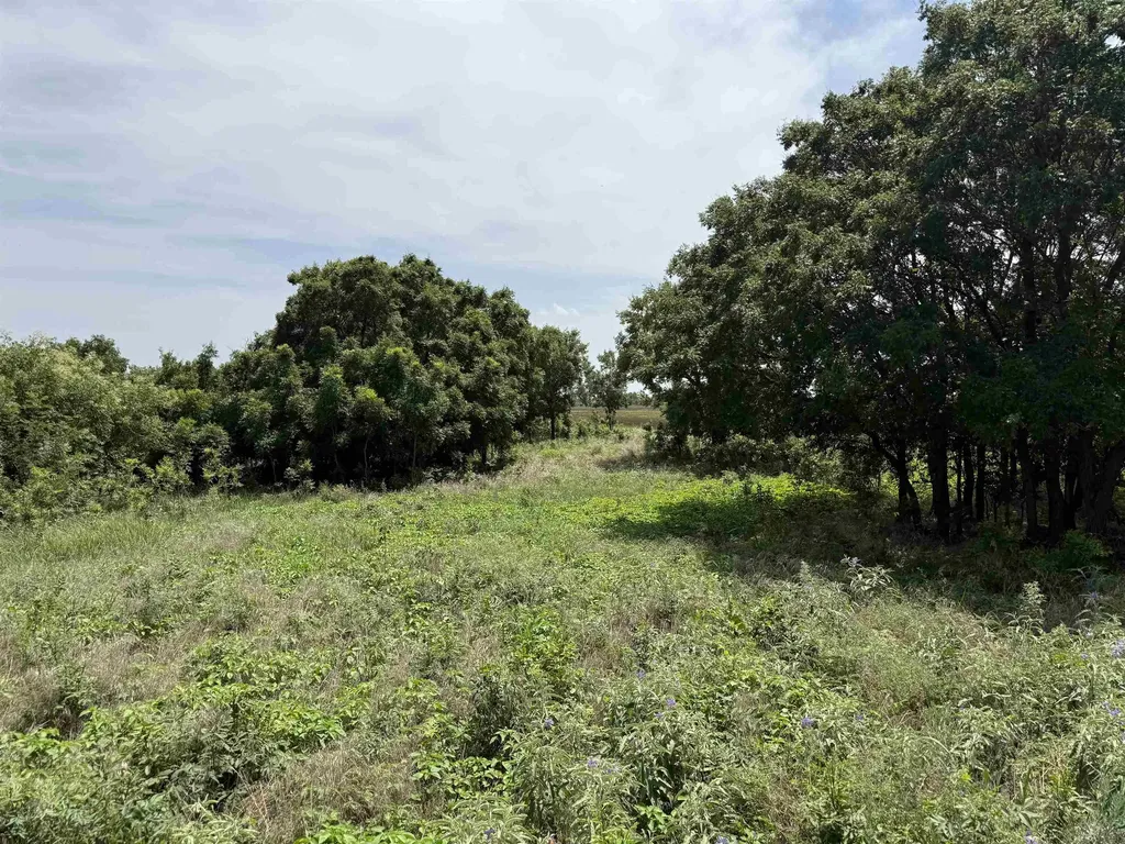 S Argonia Road & W 100th Street Caldwell KS 67022