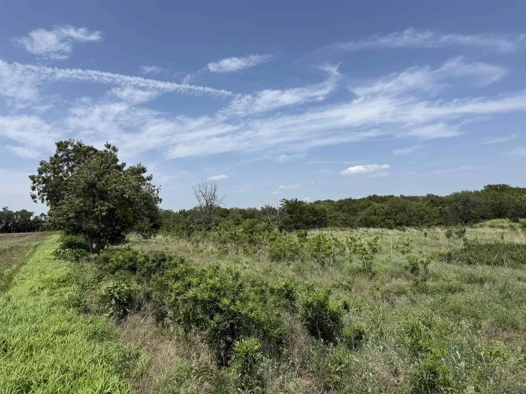S Argonia Road & W 100th Street Caldwell KS 67022