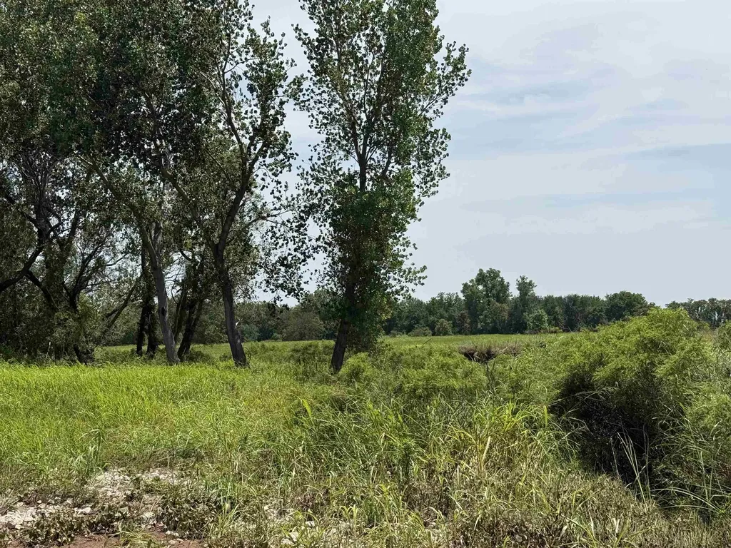 S Argonia Road & W 100th Street Caldwell KS 67022