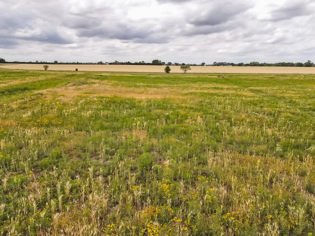 4.1 Acres On 183rd Goddard KS 67052