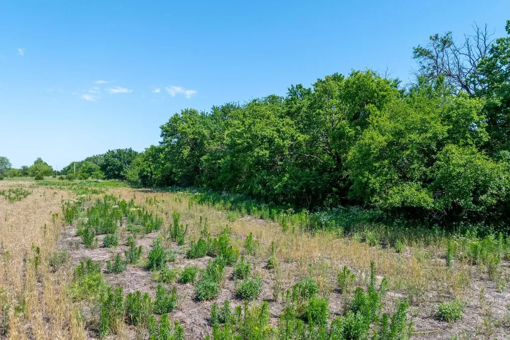 Lot 6 E Willow Oak Estates Wichita KS 67226