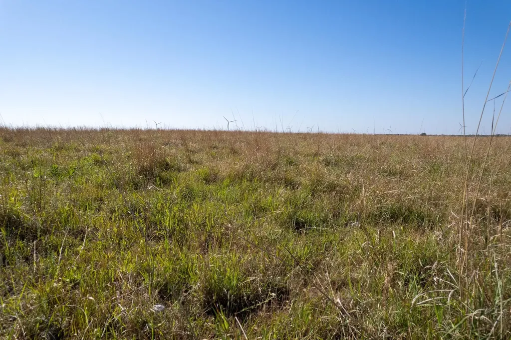 0000 NE 160 Road Harper KS 67058