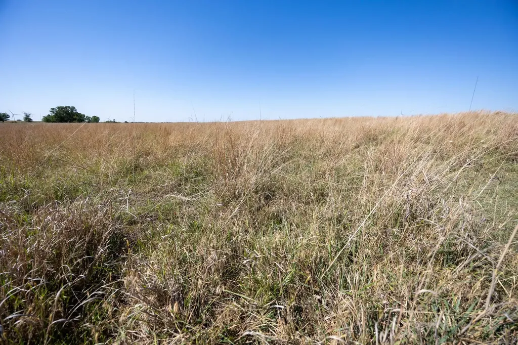 0000 NE 160 Road Harper KS 67058