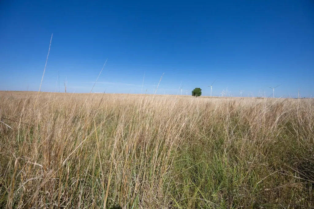 0000 NE 160 Road Harper KS 67058