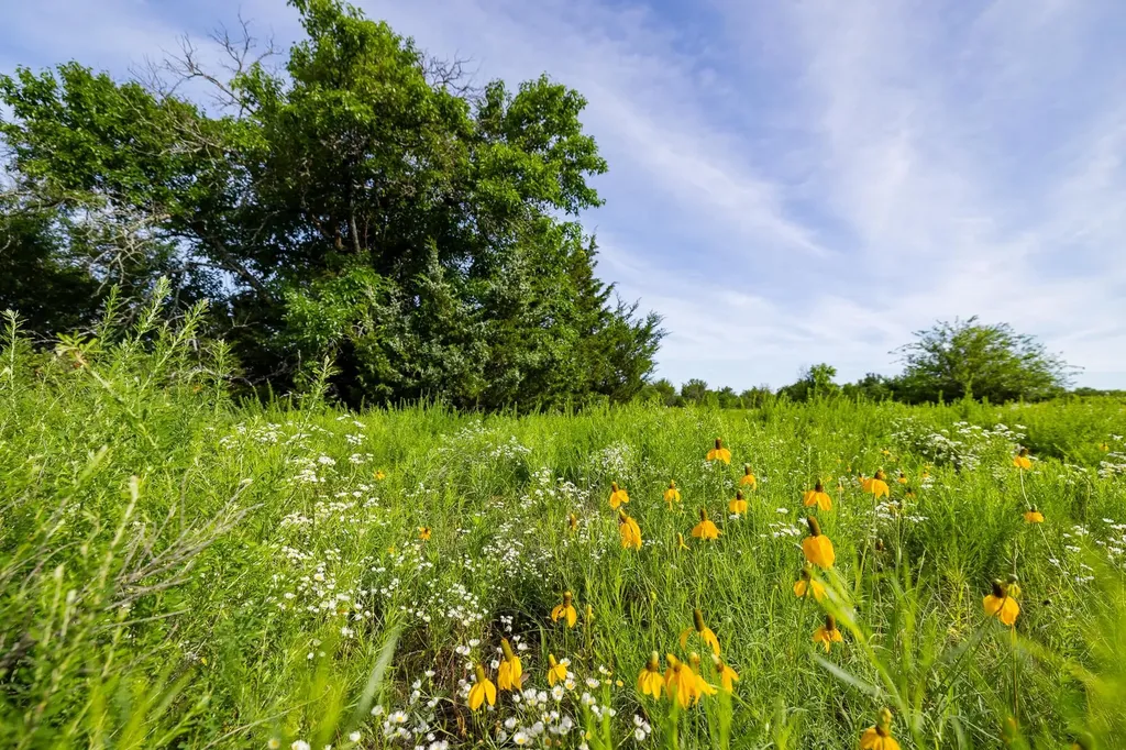 1768 Road Howard KS 67349