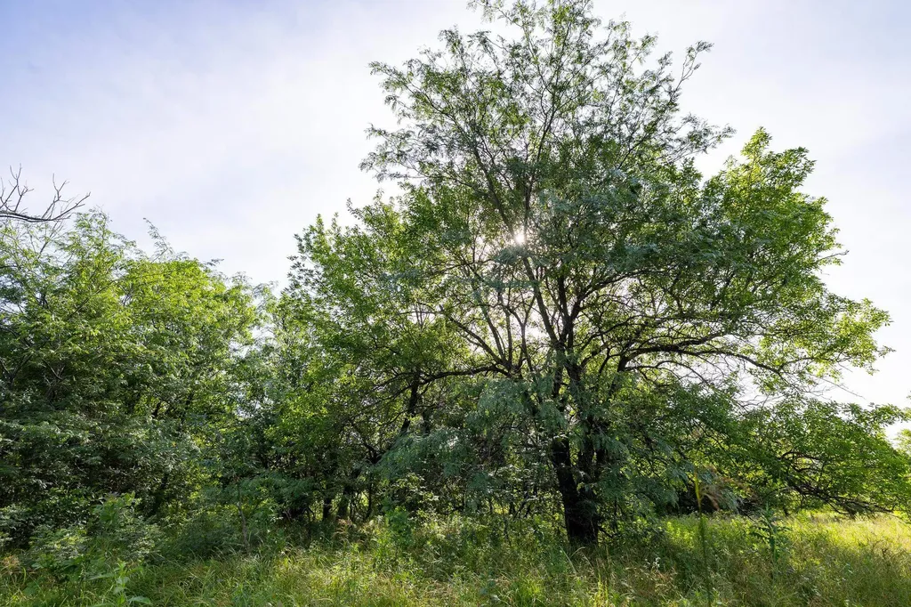 1768 Road Howard KS 67349