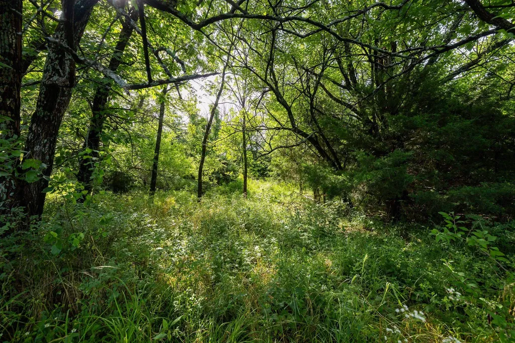 1768 Road Howard KS 67349