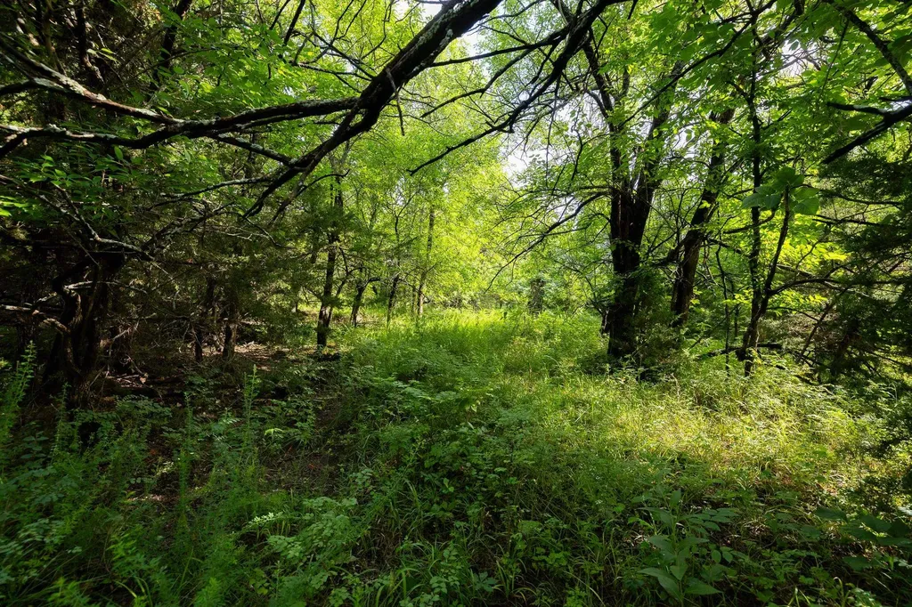 1768 Road Howard KS 67349