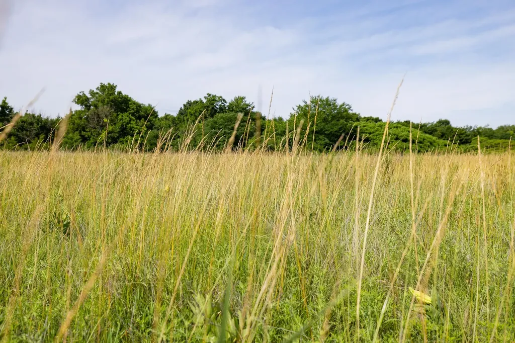1768 Road Howard KS 67349