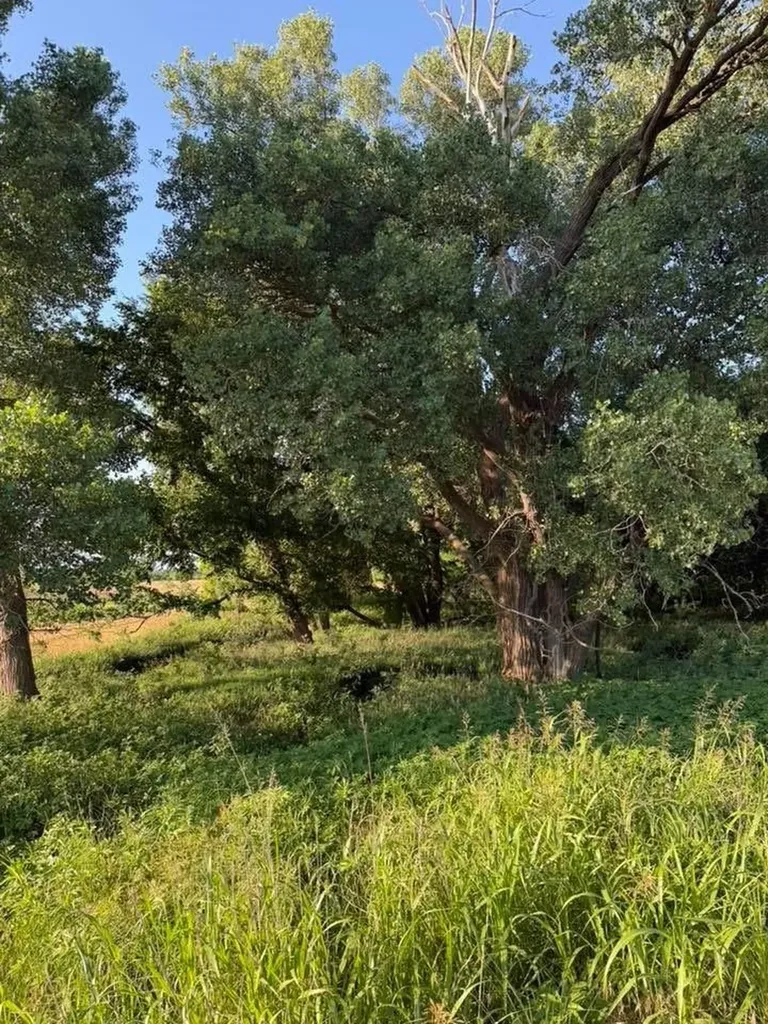 0 SE 170th Street Spivey KS 67142