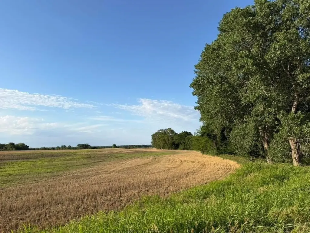 0 SE 170th Street Spivey KS 67142