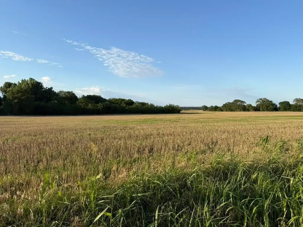0 SE 170th Street Spivey KS 67142