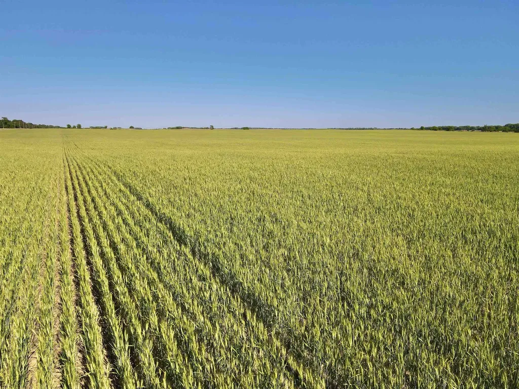 Se/c Of NE 70th St & NE 100th Ave - Tract 3 Turon KS 67583