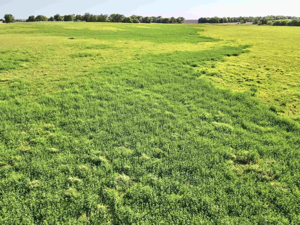 Ne/c Of NE 40th St & NE 100th Ave - Tract 4 Turon KS 67583