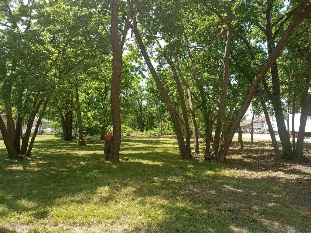 101 Walnut Halstead KS 67056