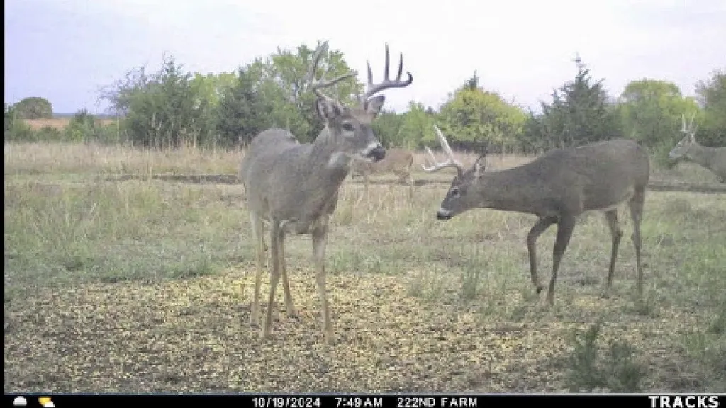 00000 S 222nd Road Winfield KS 67156