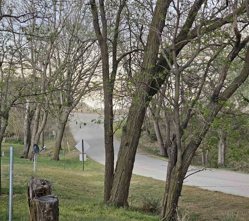 9 Sunflower Lane Marquette KS 67464