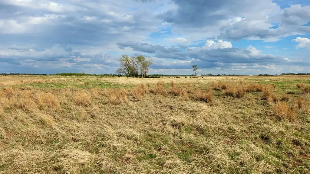 0 SE 140 Avenue Cheney KS 67025