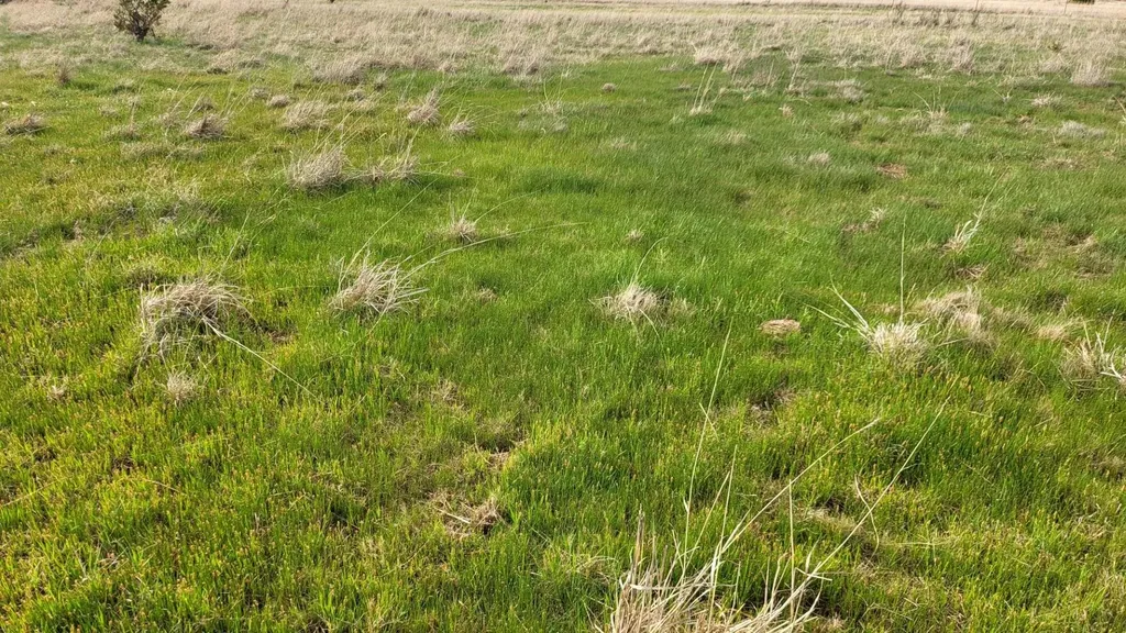 0 SE 140 Avenue Cheney KS 67025