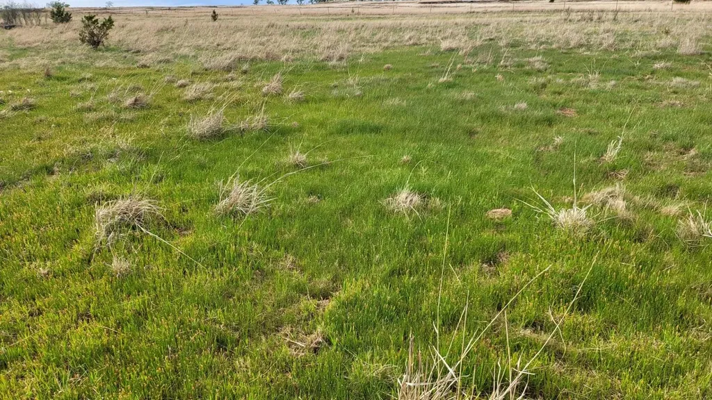 0 SE 140 Avenue Cheney KS 67025