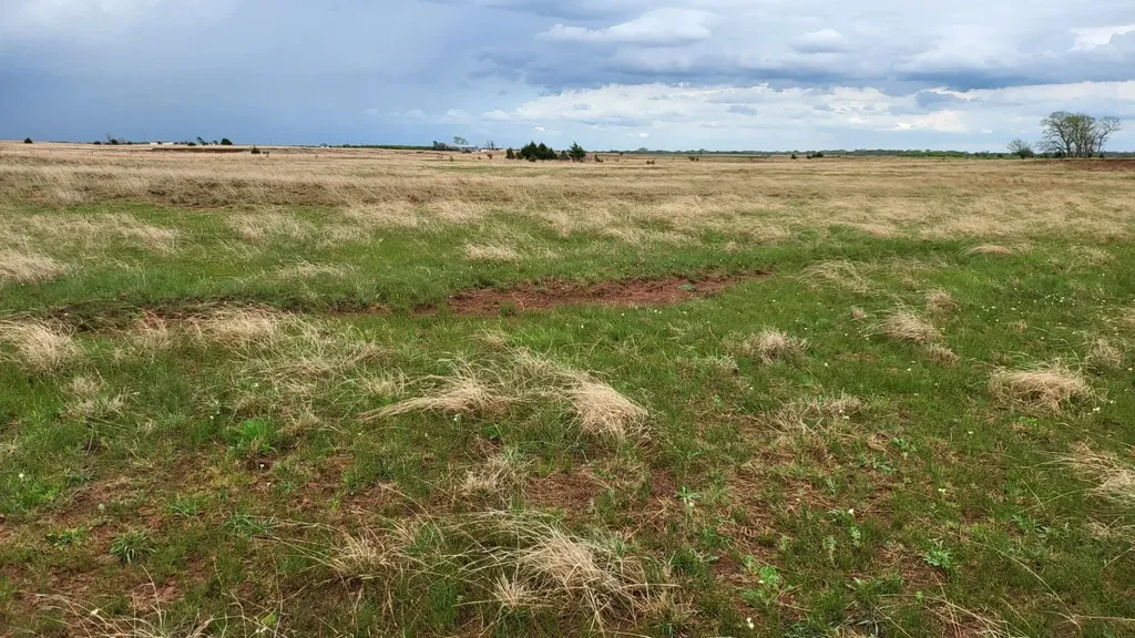 0 SE 140 Avenue Cheney KS 67025
