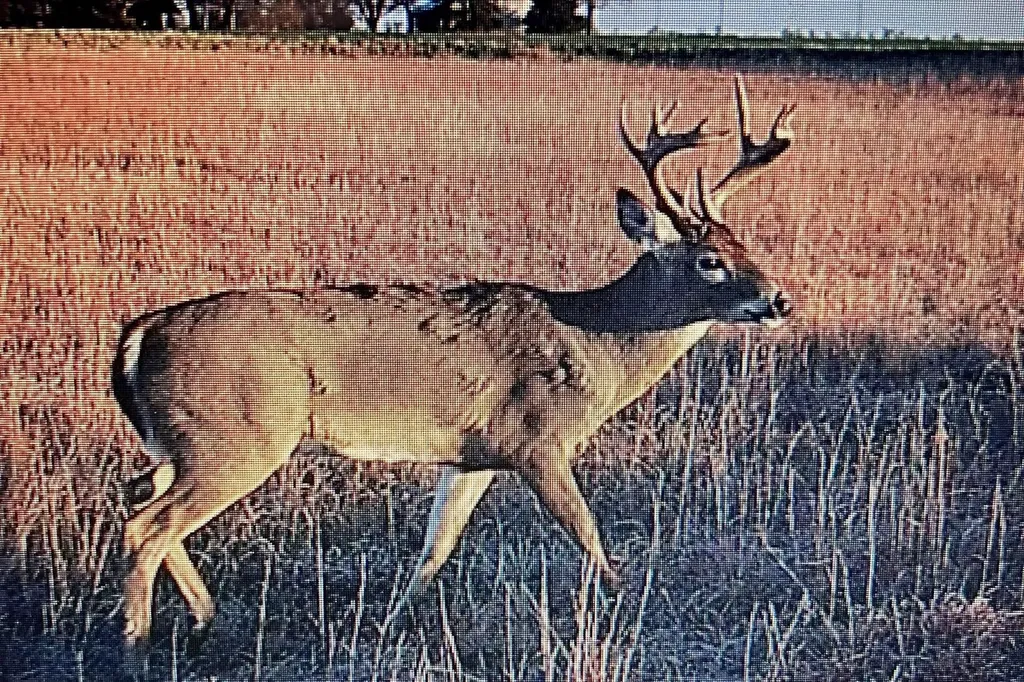 0000 NE 10th Street Kingman KS 67068
