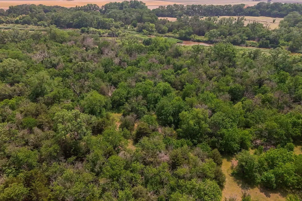 42.21 Acres E Long View Burrton KS 67020
