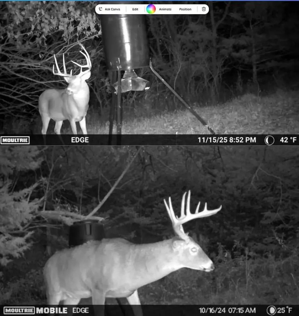 2486 180th Marion KS 66861