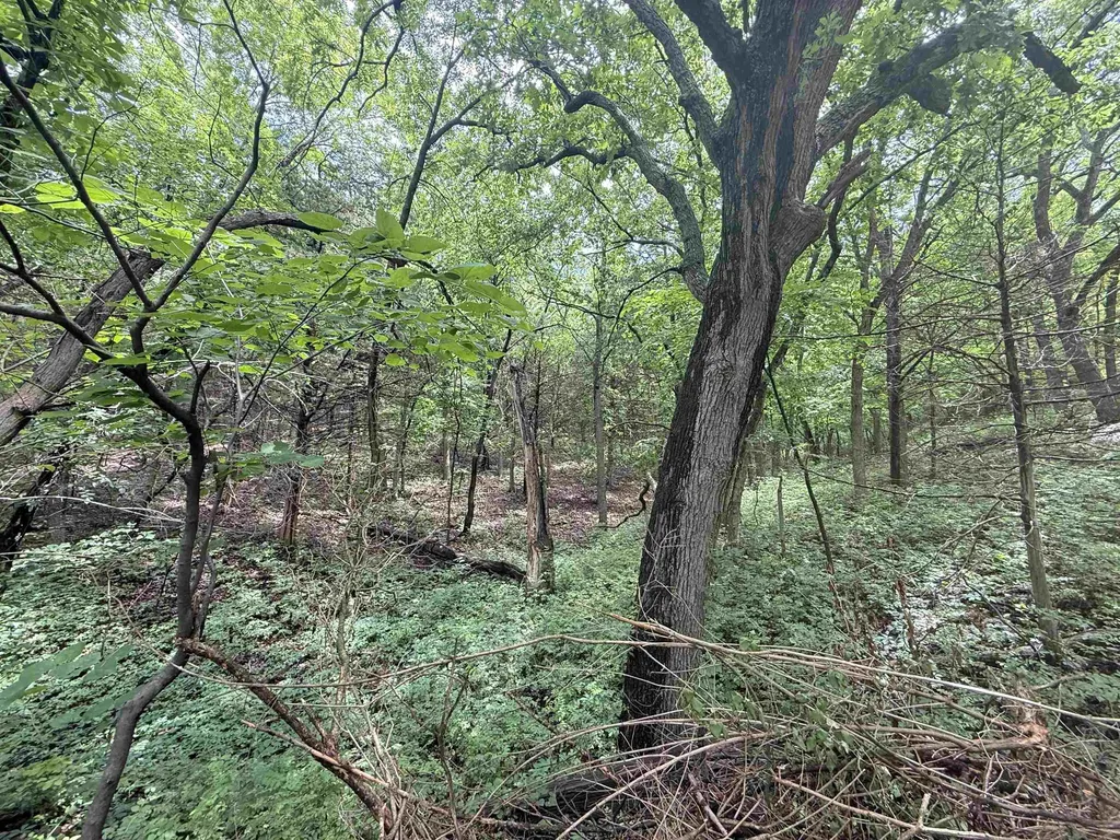 7086 Mill Cove Drive Manhattan KS 66503