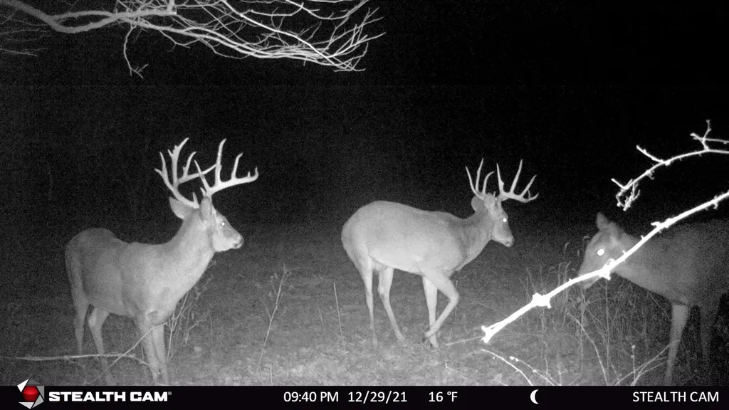 N & E Of Ferguson & 86th St - Tract 2 Oskaloosa KS 66066
