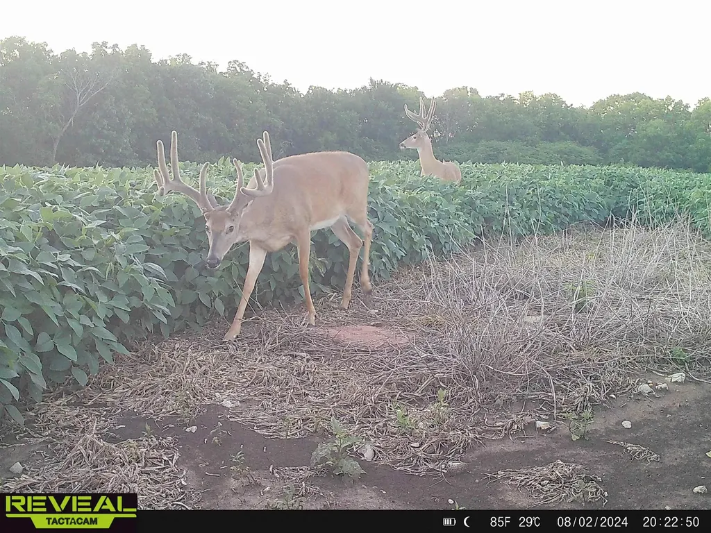 N & E Of Ferguson & 86th St - Tract 2 Oskaloosa KS 66066