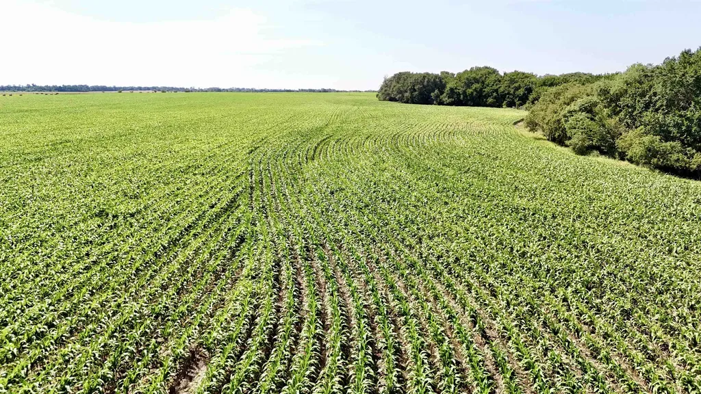 Nw/c Of SE 120 Ave And SE 110 St - Tract 3 Norwich KS 67118