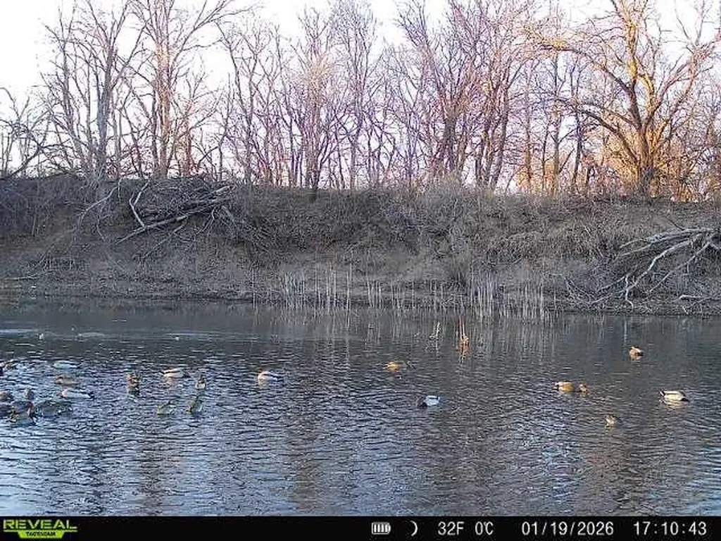 00000 N Pope Drive Mulvane KS 67110