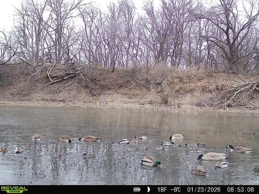 00000 N Pope Drive Mulvane KS 67110