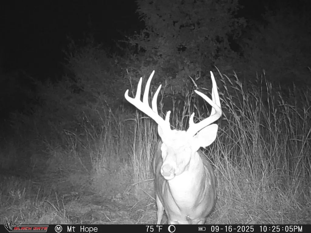 12000 N 199th Sedgwick KS 67135