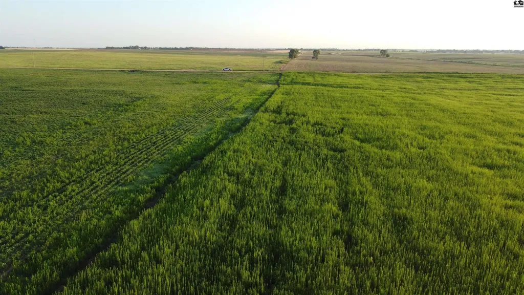 0 W Boundary Road Pretty Prairie KS 67570