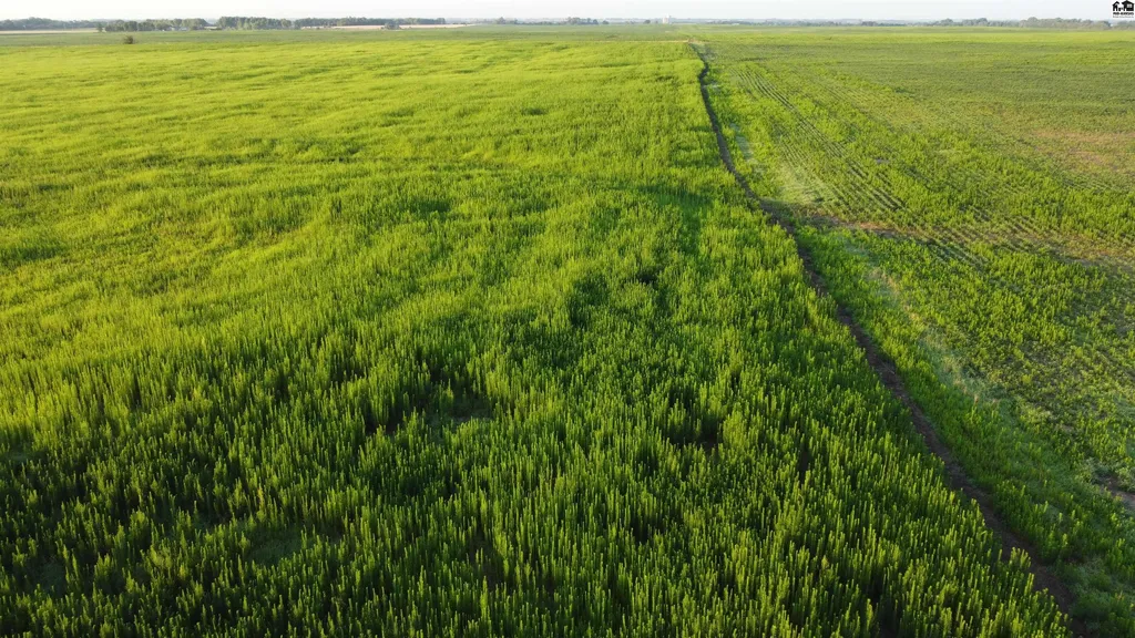 0 W Boundary Road Pretty Prairie KS 67570