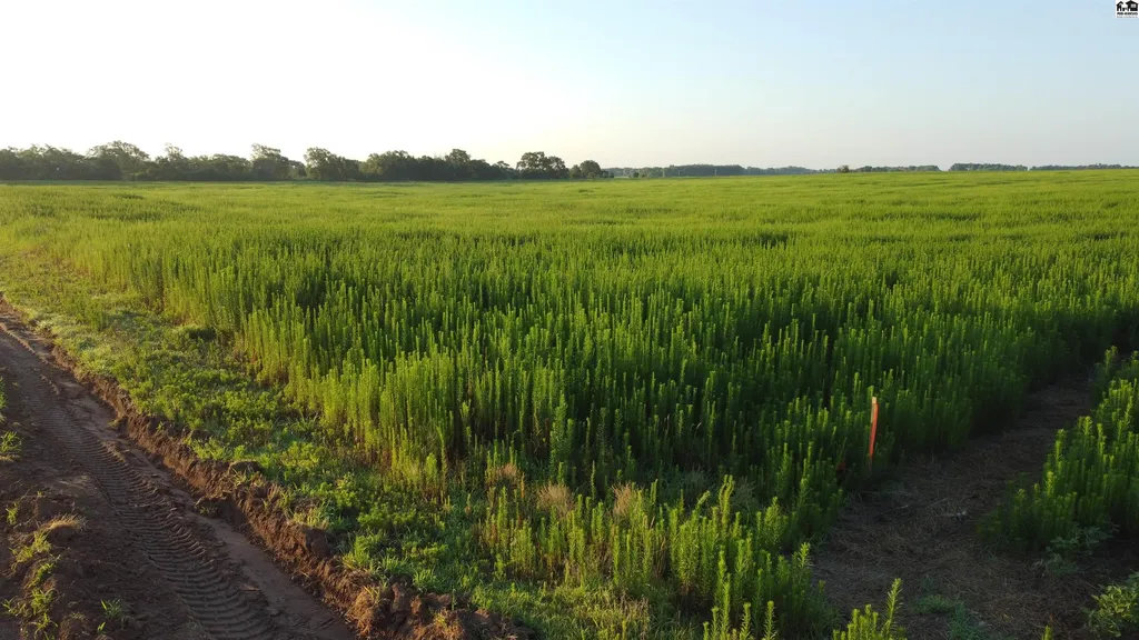 0 W Boundary Road Pretty Prairie KS 67570
