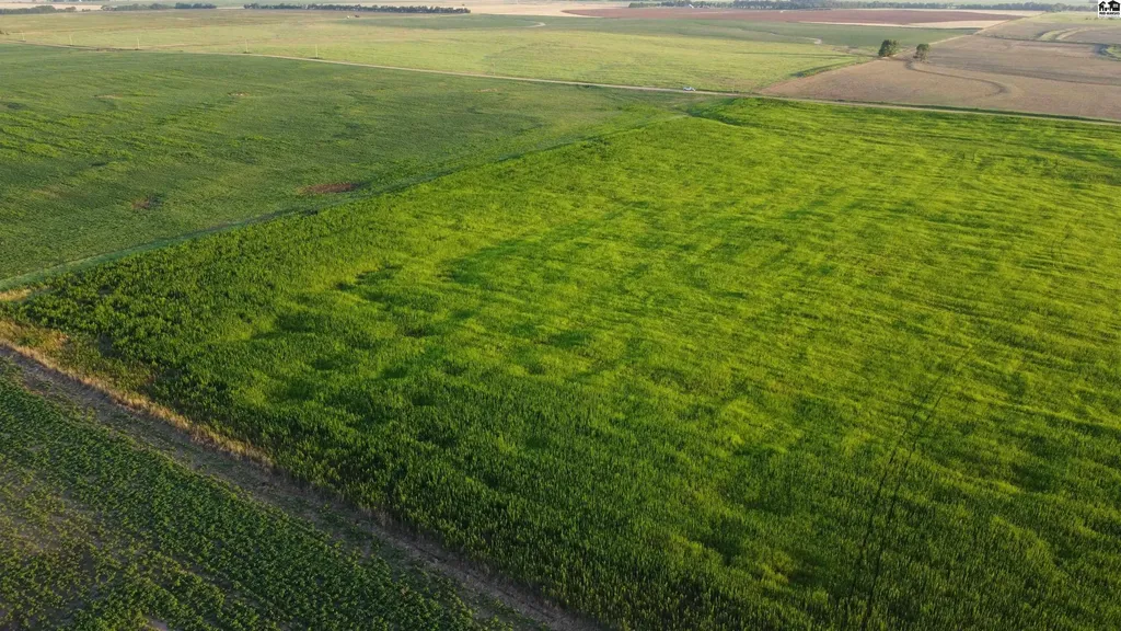 0 W Boundary Road Pretty Prairie KS 67570