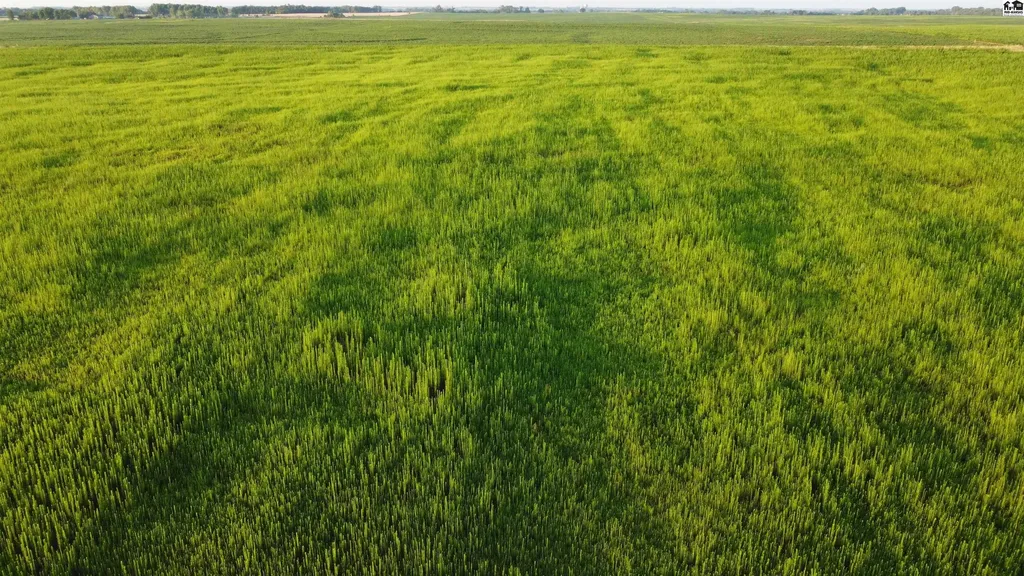 0 W Boundary Road Pretty Prairie KS 67570