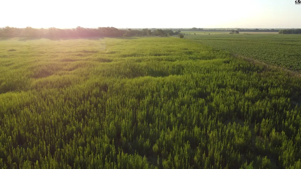 0 W Boundary Road Pretty Prairie KS 67570