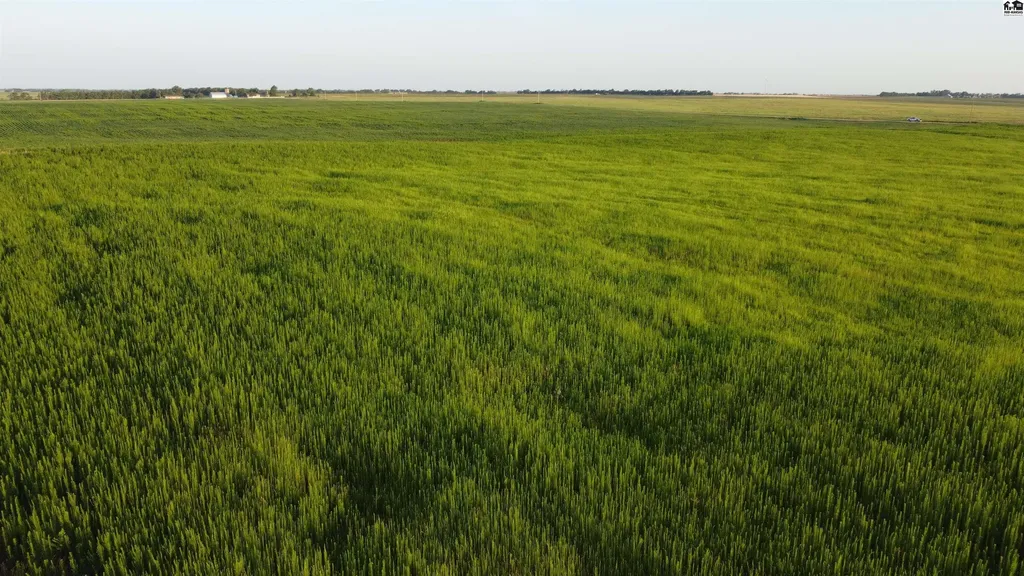 0 W Boundary Road Pretty Prairie KS 67570