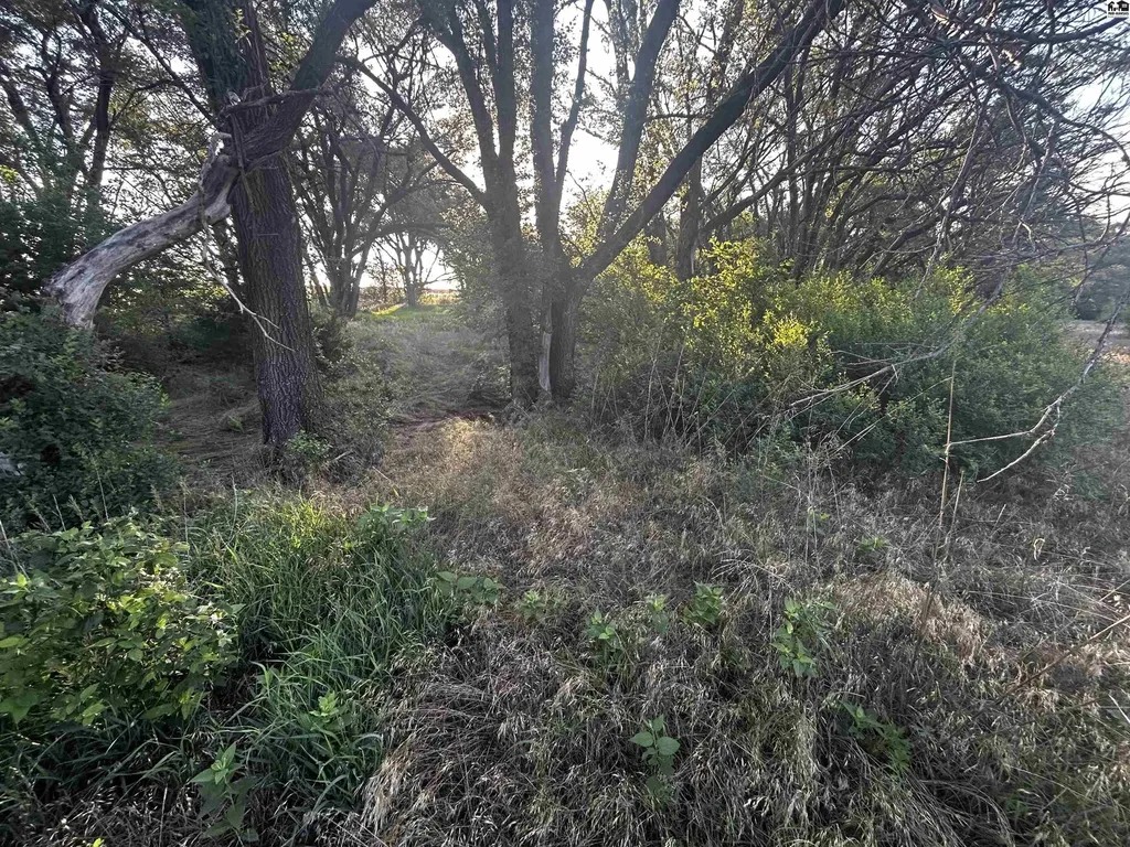 00000 W Boundary Road Pretty Prairie KS 67570