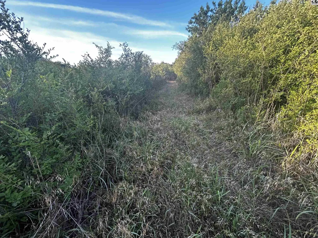00000 W Boundary Road Pretty Prairie KS 67570
