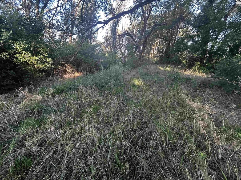 00000 W Boundary Road Pretty Prairie KS 67570