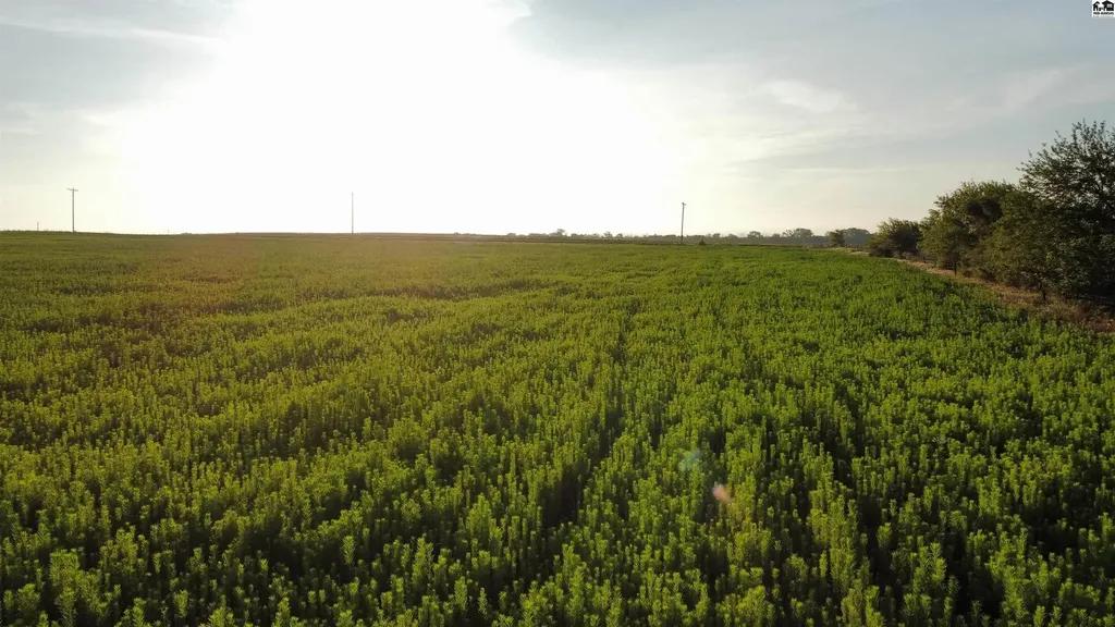 00000 S Dean Road Pretty Prairie KS 67570