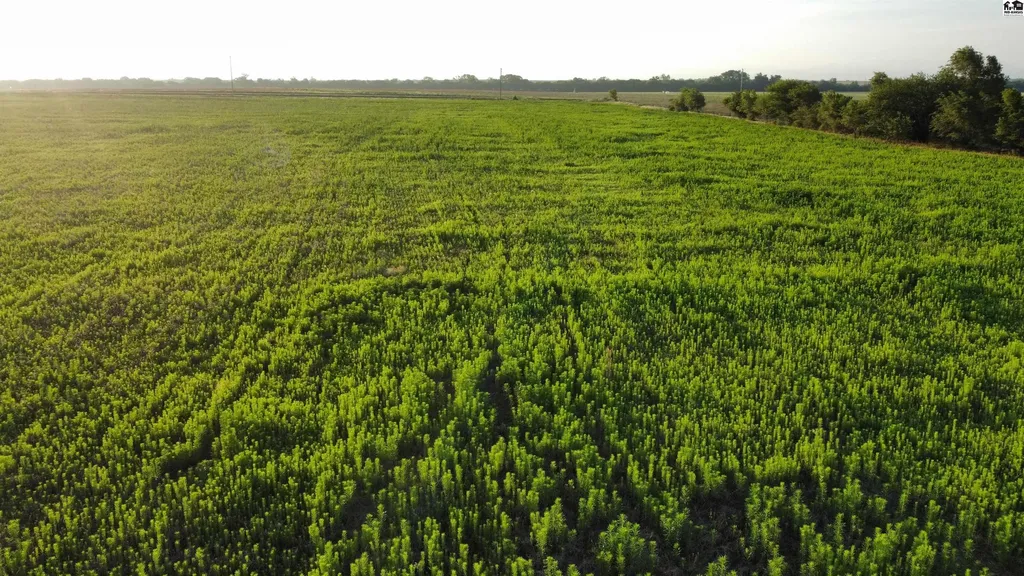 00000 S Dean Road Pretty Prairie KS 67570